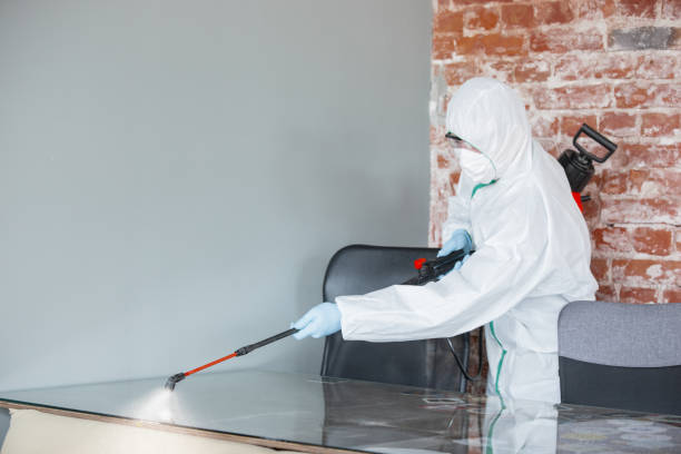 Reliable Leisure Knoll, NJ Mold Removal & Remediation Solutions